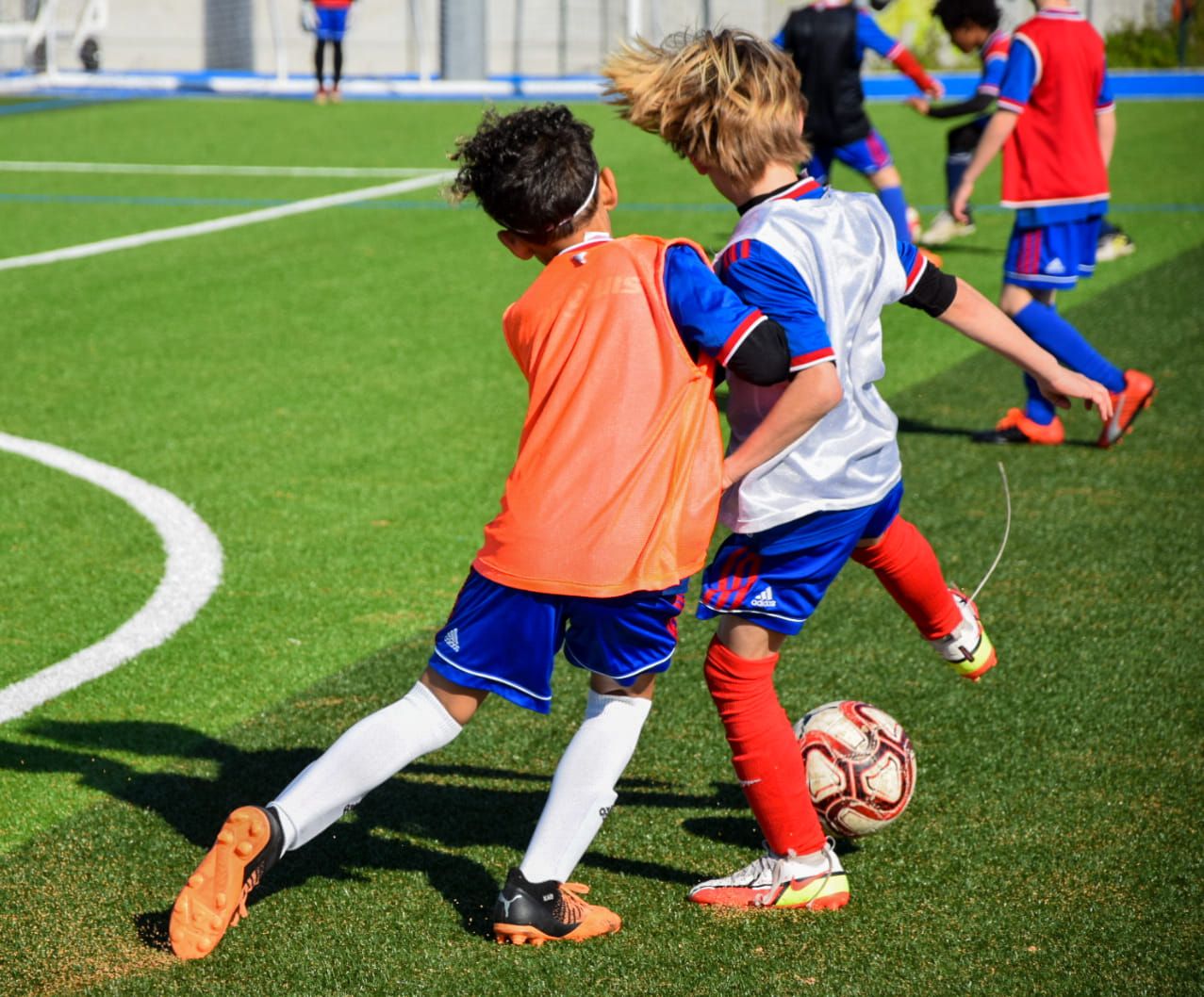 Image de diapositive